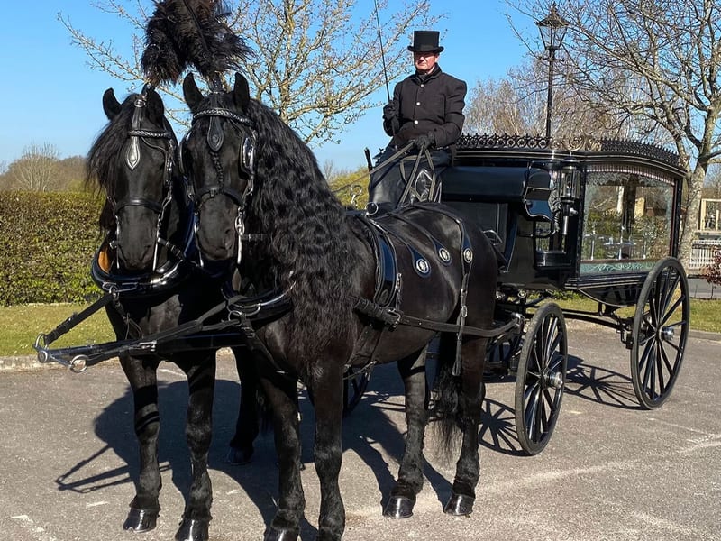 Alternative Funeral Vehicles